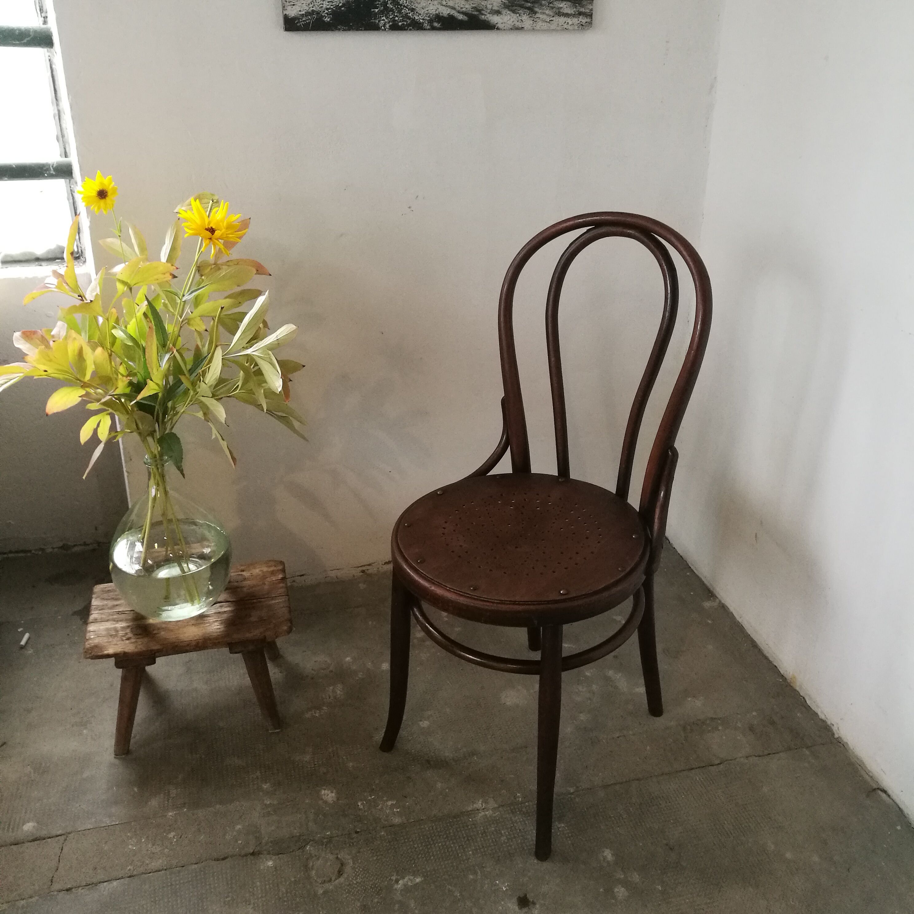 Taxhel bistro chair in curved wood