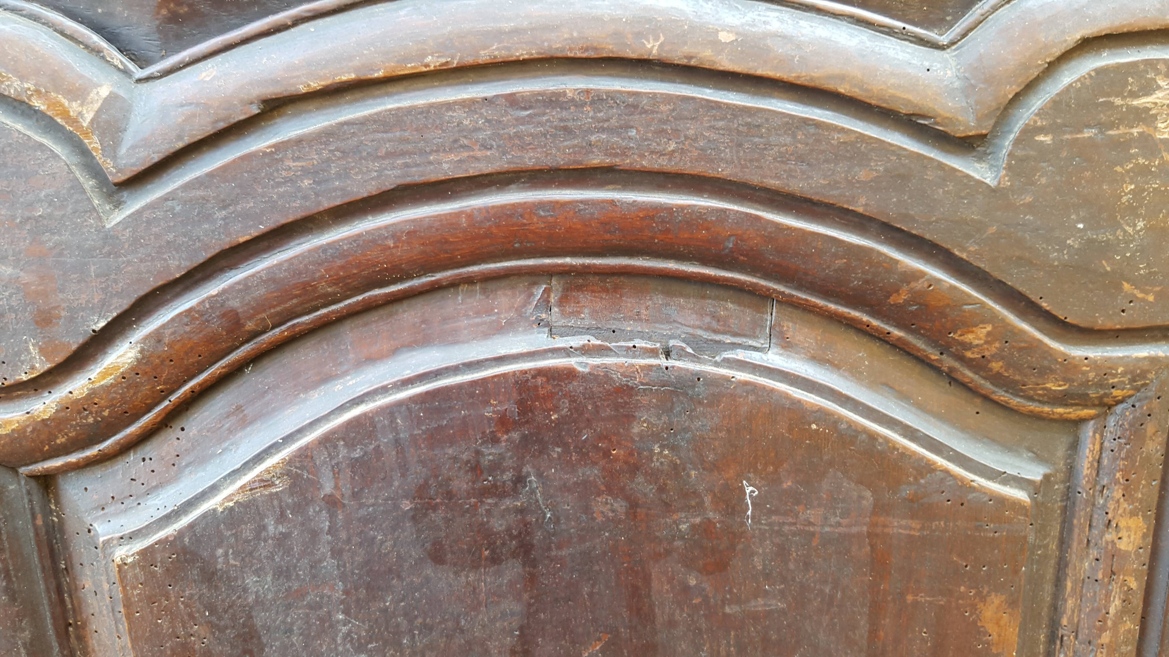 Pair of 18th/19th century old doors
