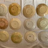 Barbotine plates