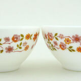 2 bowls in opal and tempered glass - Scania Arcopal France - vintage 70s