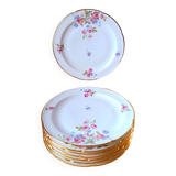 CB France porcelain plates