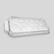 Art Deco glass serving tray - pansies flowers Vallerysthal Portieux