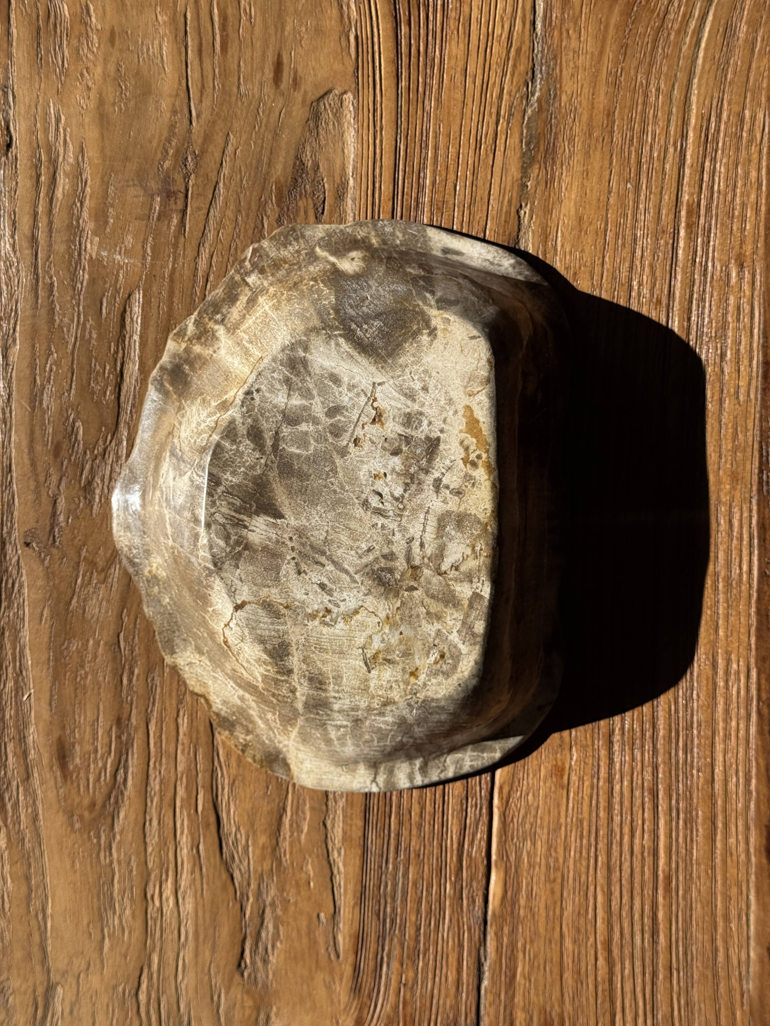 Oval beige petrified wood bowl 24x19 - 3781