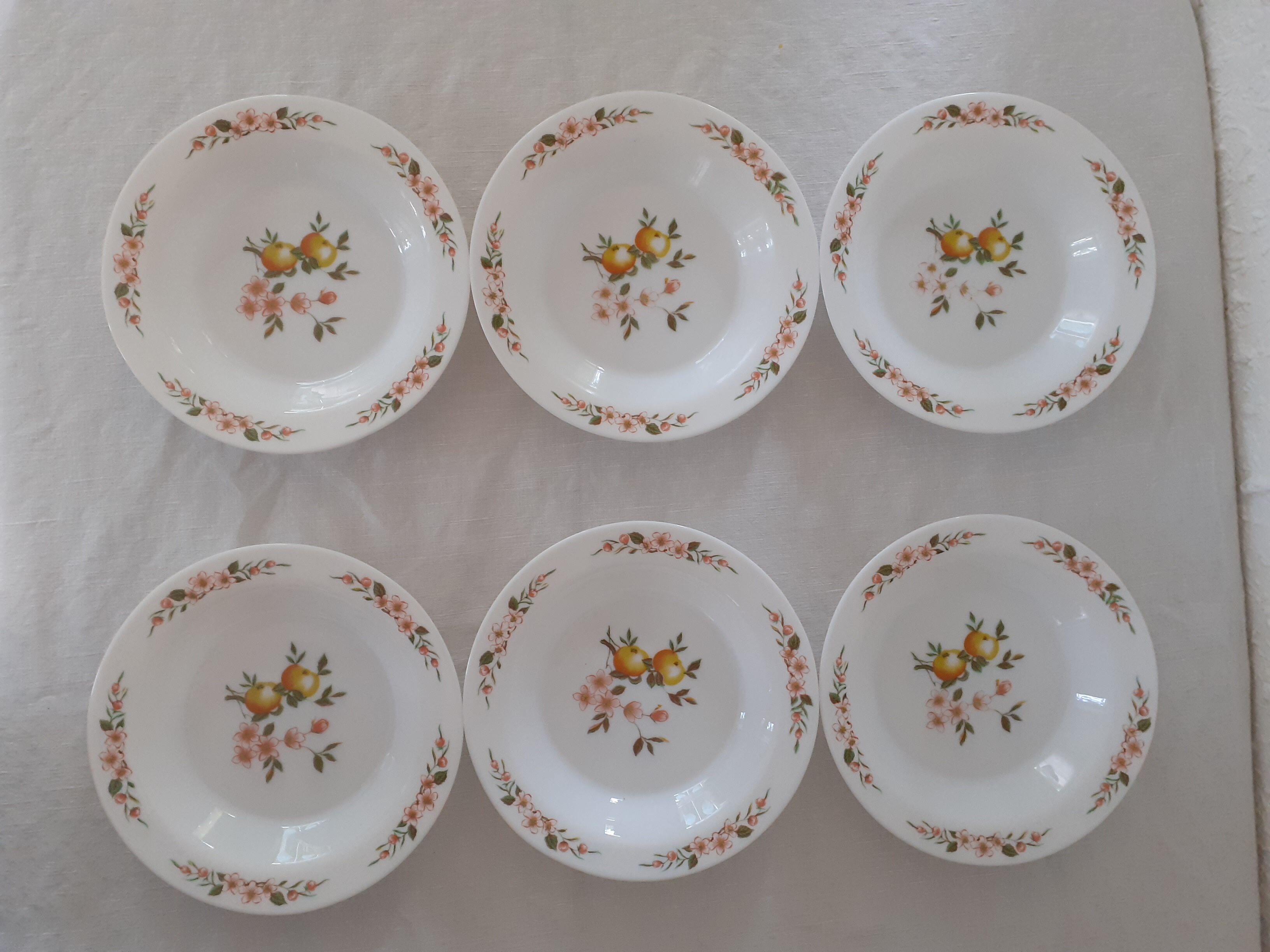 Set de 6 assiettes creuses modèle Normandie Arcopal France décor pommes