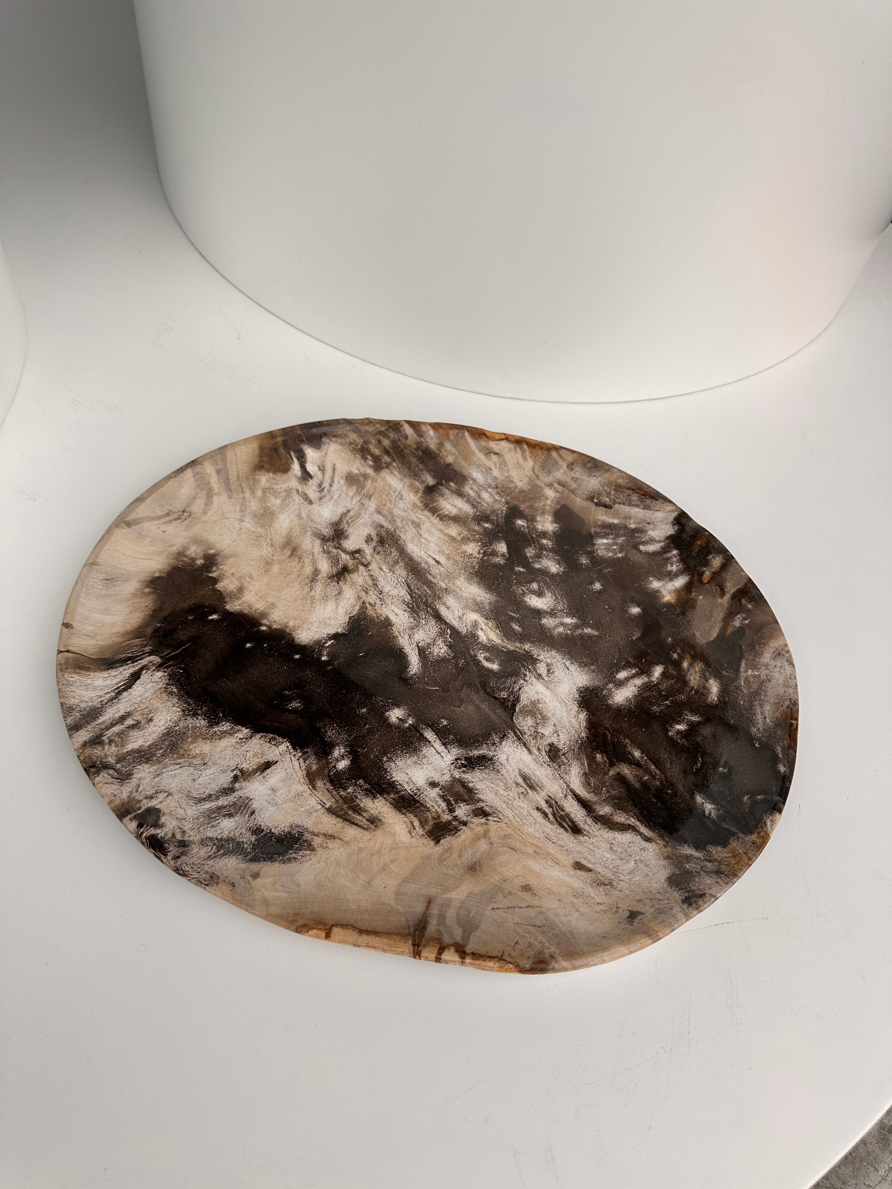 Very large empty pocket or petrified wooden flat