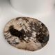 Very large empty pocket or petrified wooden flat