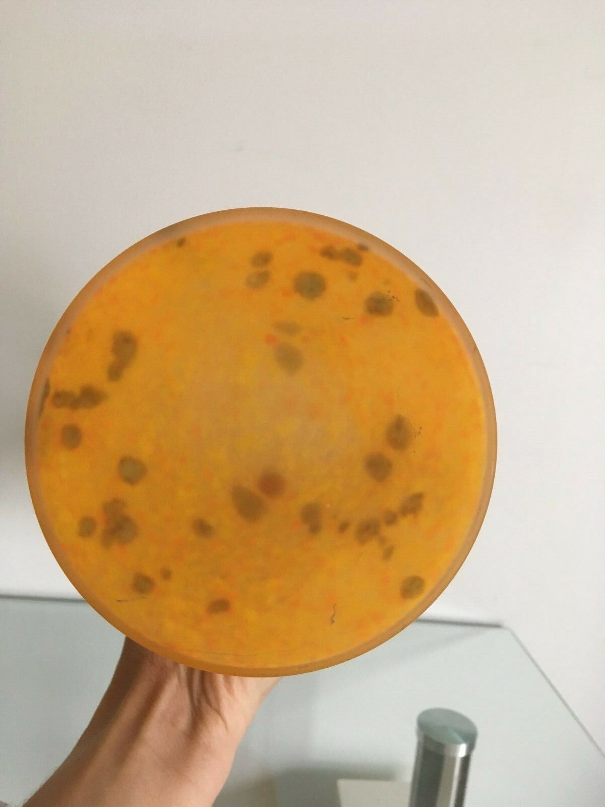 Modern glass paste soliflore vase