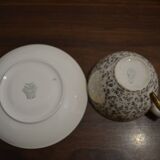 Villeroy and Boch Saar Cup and Saucer