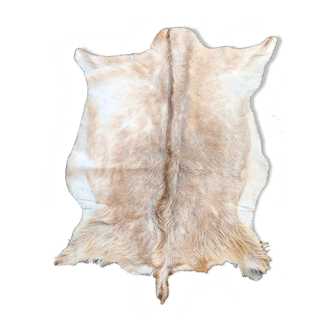 Goat skin 12x90cm