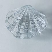 Coquillage bénitier en verre