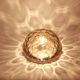 Wall/Ceiling Light in Smoked Glass, Sputnik, Germany