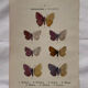 Botanical Plate 1800 Old Naturalist Engraving 19th Century Double-Sided