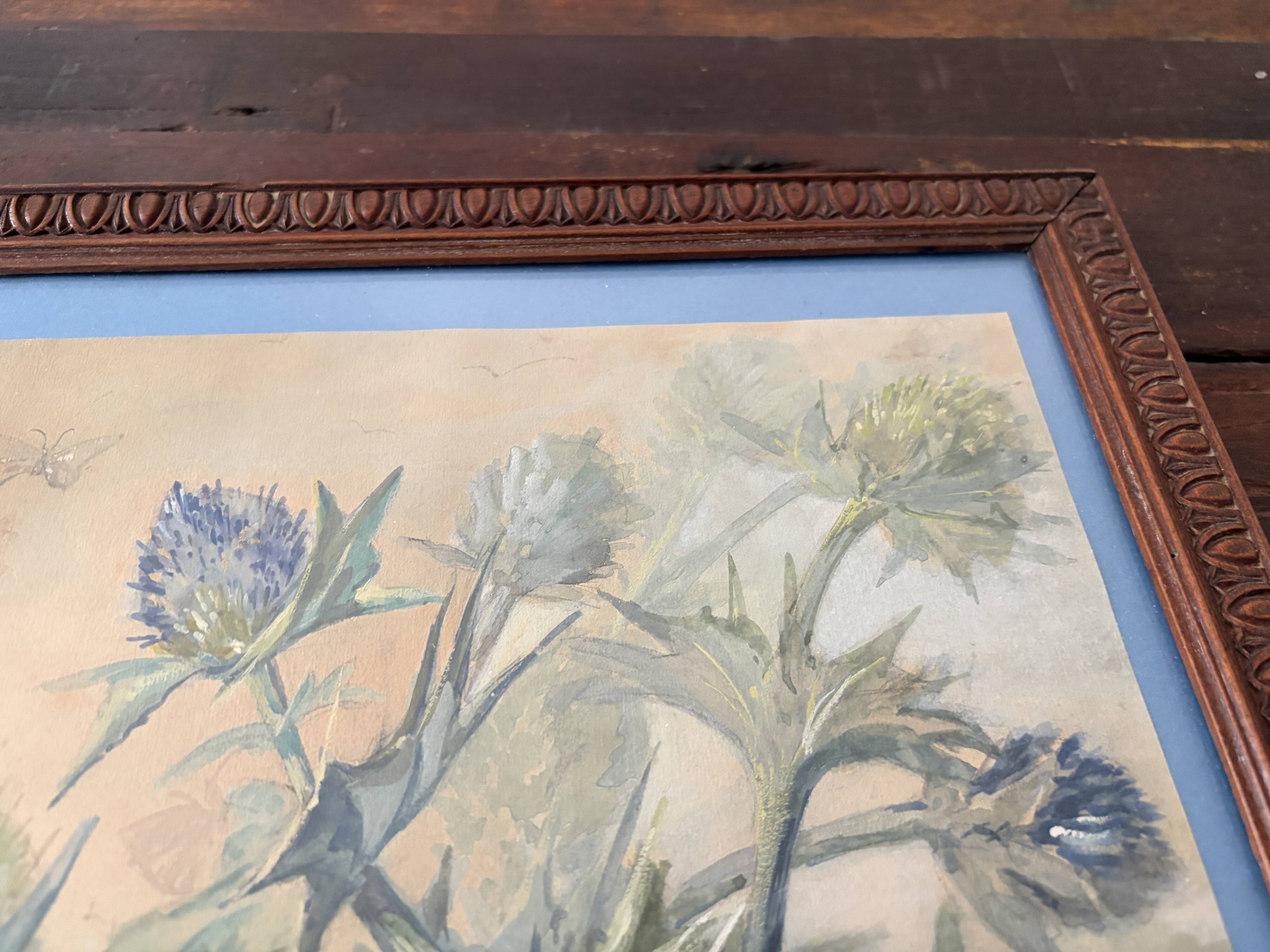 Composition botanique aux chardons bleus – gouache ancienne encadrée