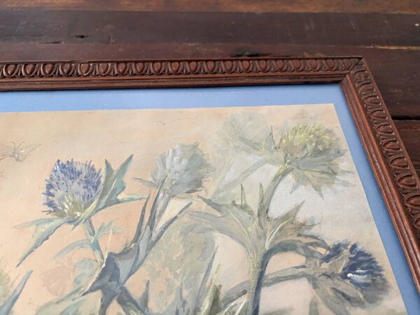 Composition botanique aux chardons bleus – gouache ancienne encadrée