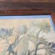 Composition botanique aux chardons bleus – gouache ancienne encadrée