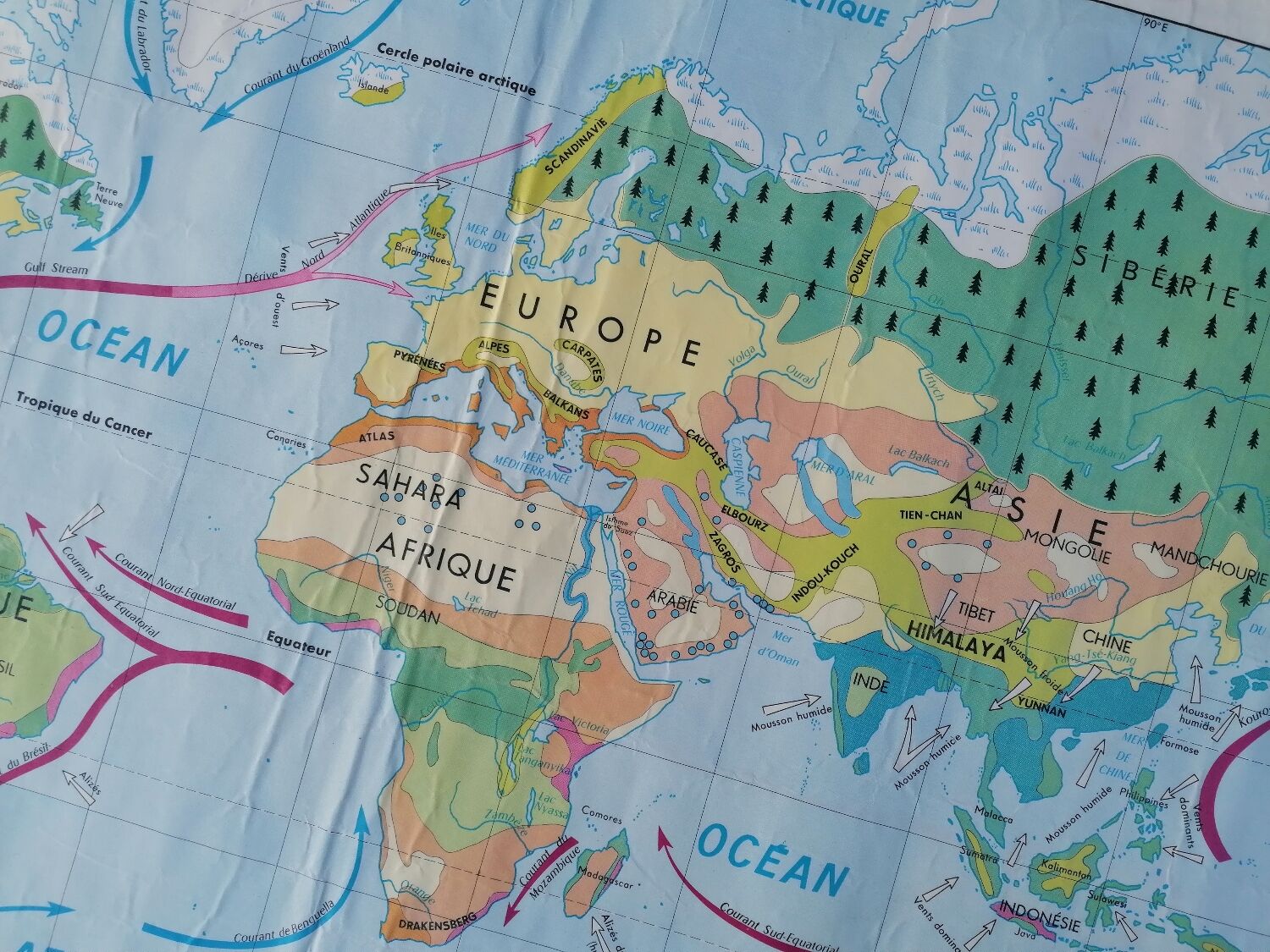 Planisphere world map vintage physics and vegetation
