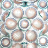 Barbotine oyster plates Digoin