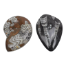 Deux fossiles polis ammonite orthoceras