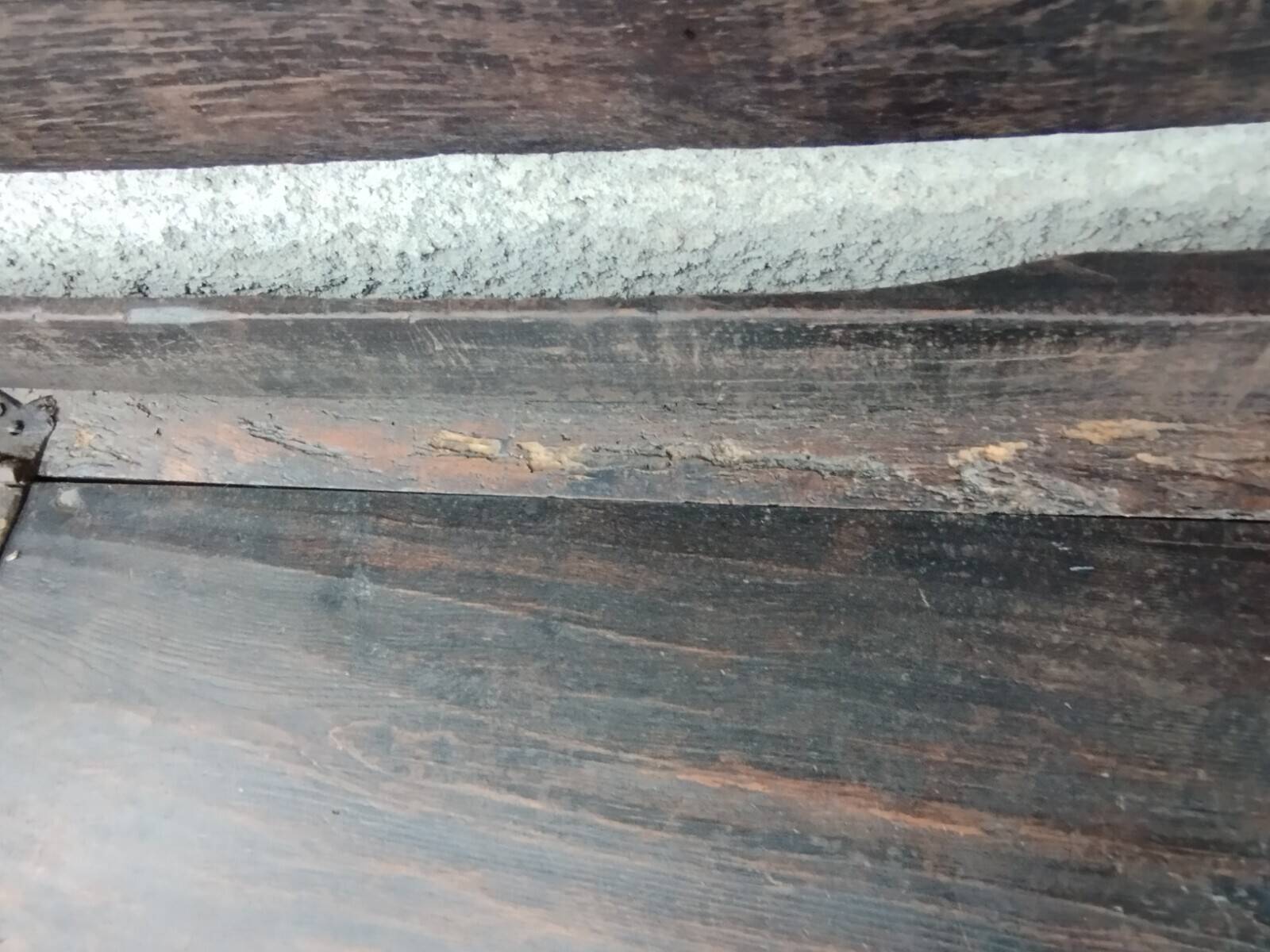 Gothic oak chest bench