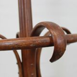 Thonet style parrot