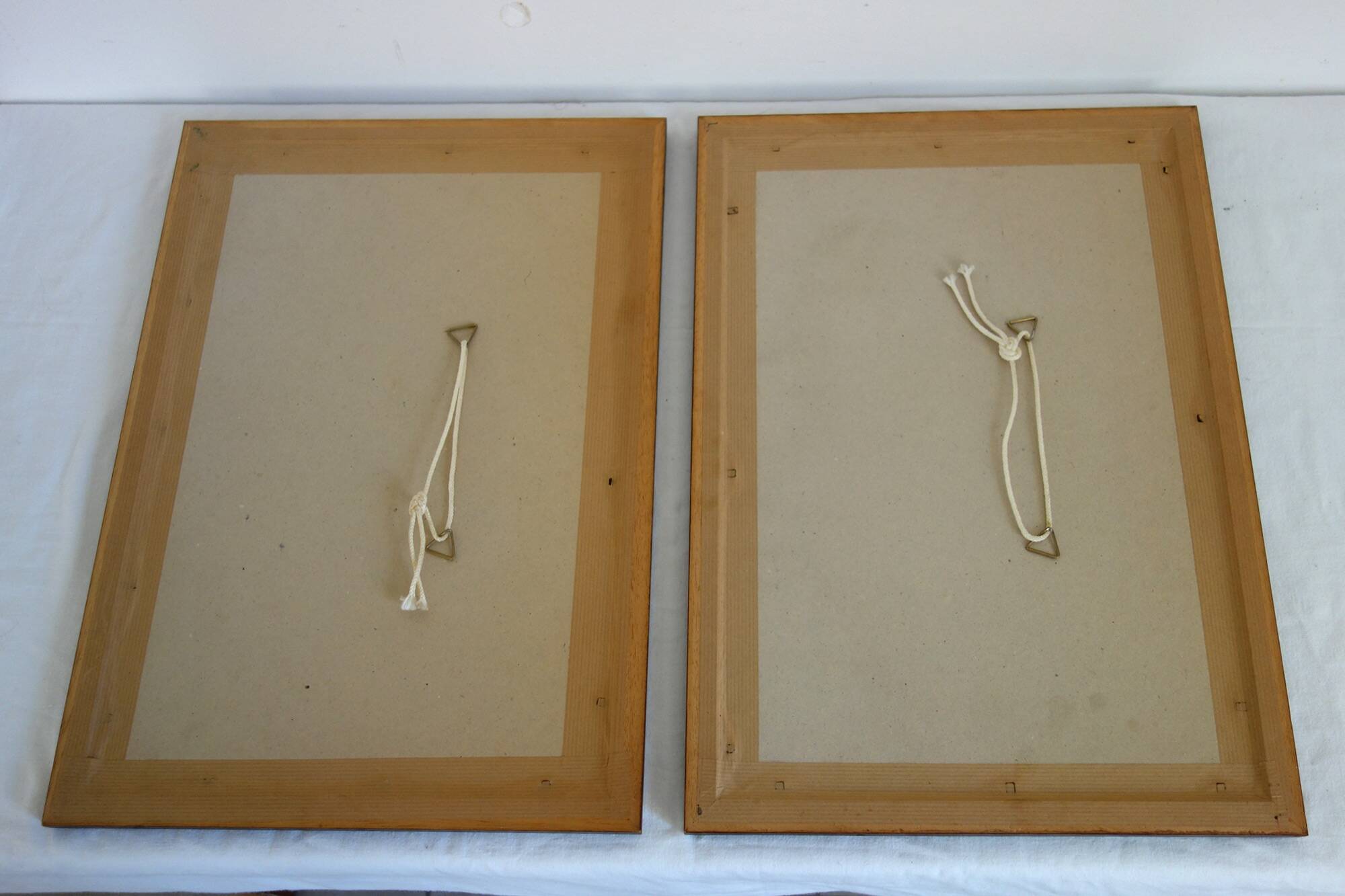 2 plates of ornithological bird engravings