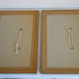 2 plates of ornithological bird engravings