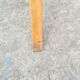 Parrot coat rack / Baumann wooden umbrella door
