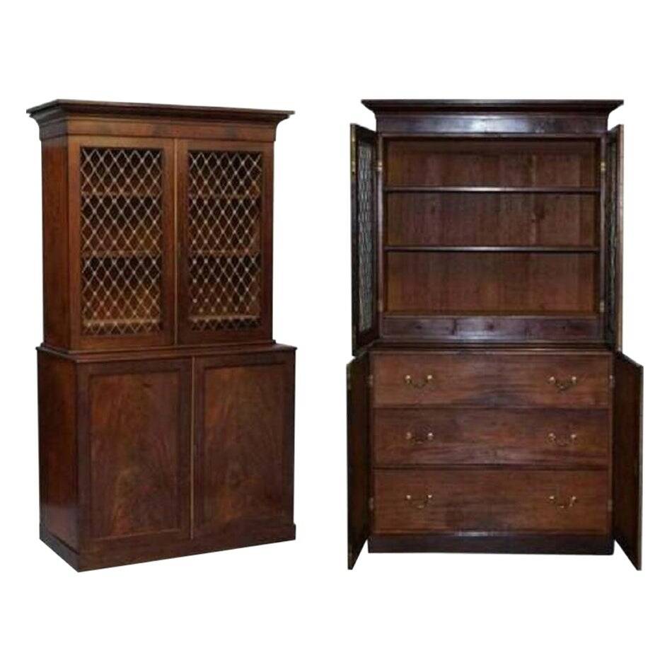 Bibliothèque 19ème siècle en bois dur avec portes en métal bronzé et commode