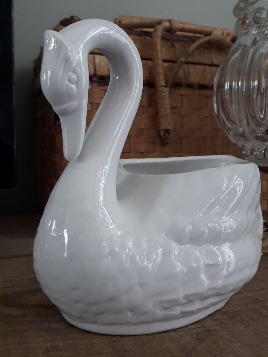 Swan plant pot