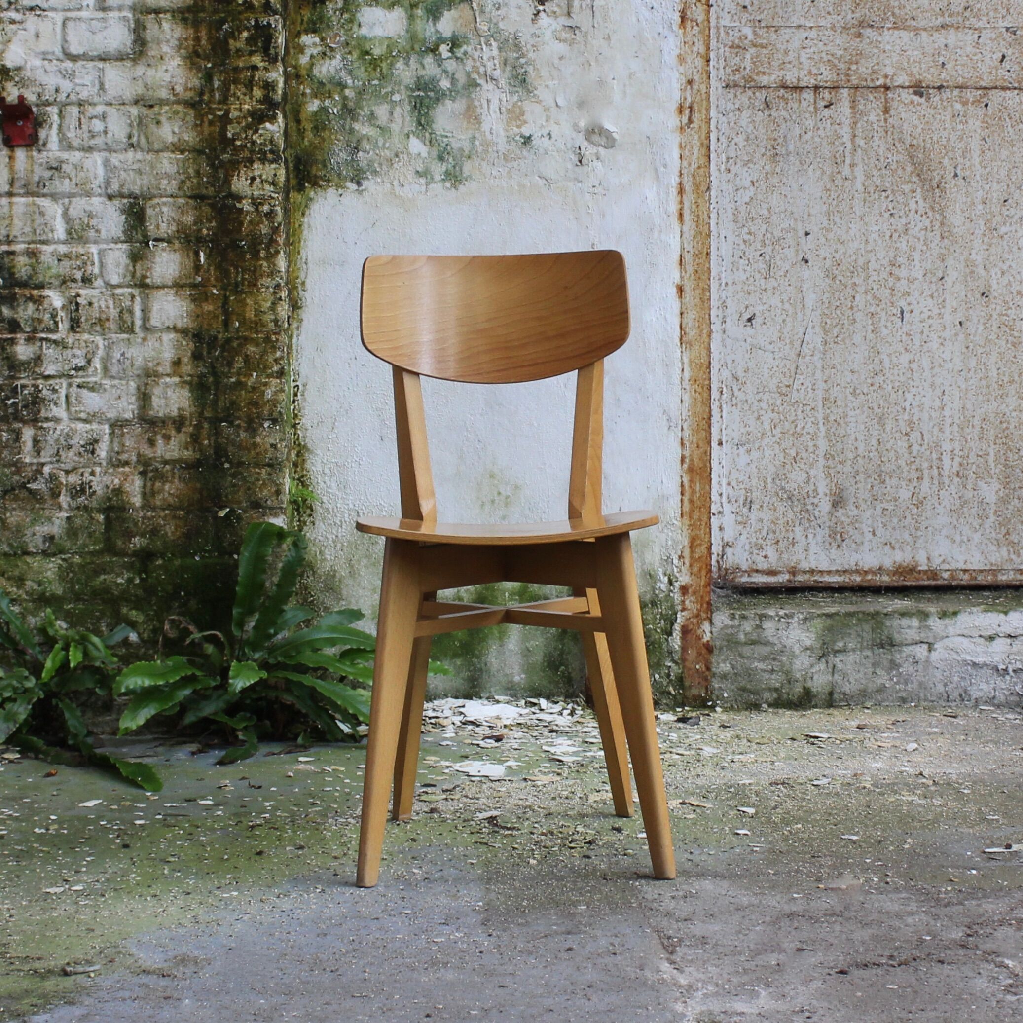 Suite of 4 chairs 1960