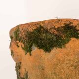 Terracotta Wall Mounted Planter