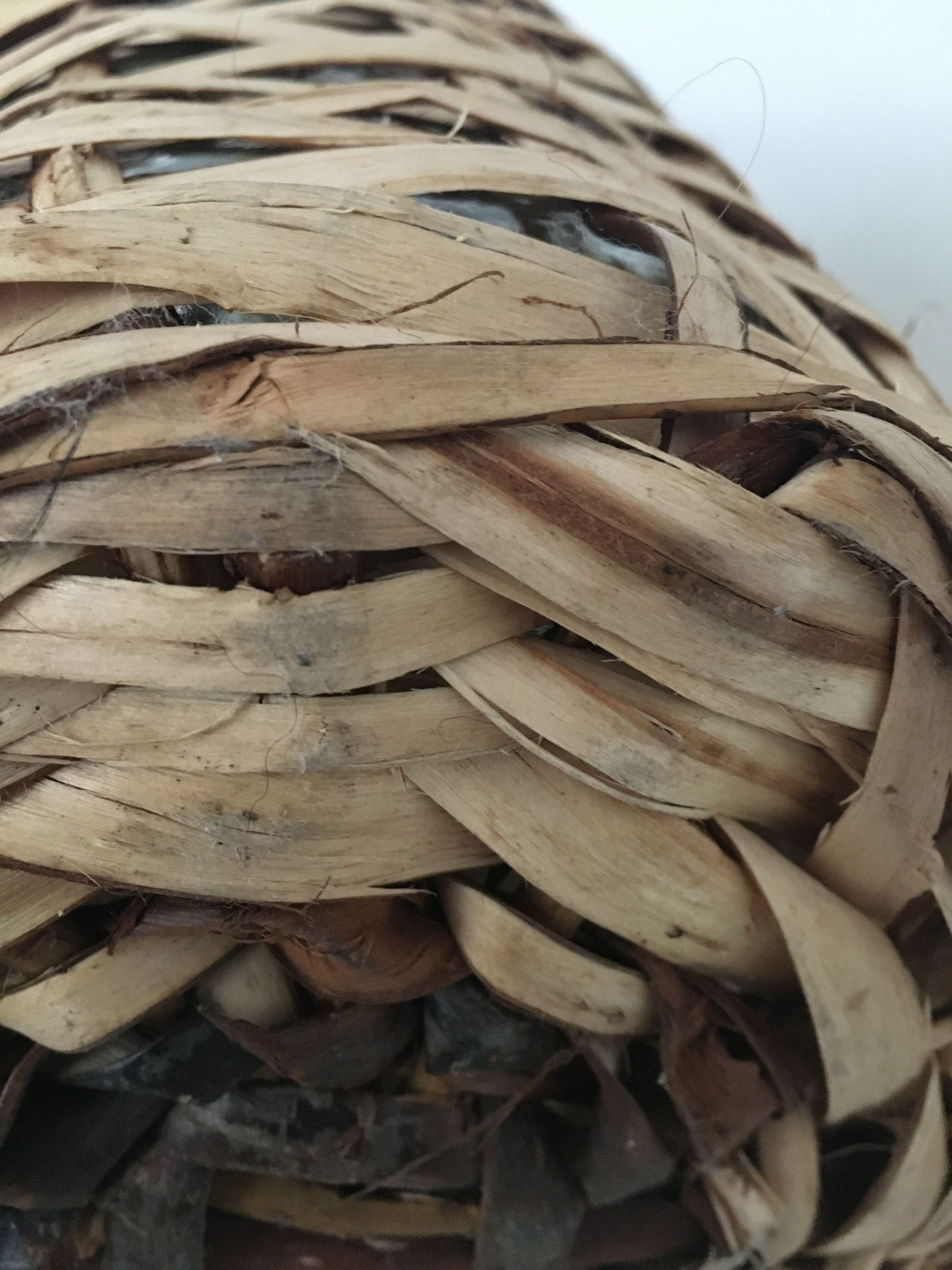 Lady-Jeanne dressed in rattan