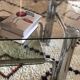Chromium coffee table and 1970s smoked glass