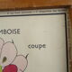 Set of 10 Rossignol posters on plants with frame