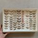 Butterfly frame stuffed under glass
