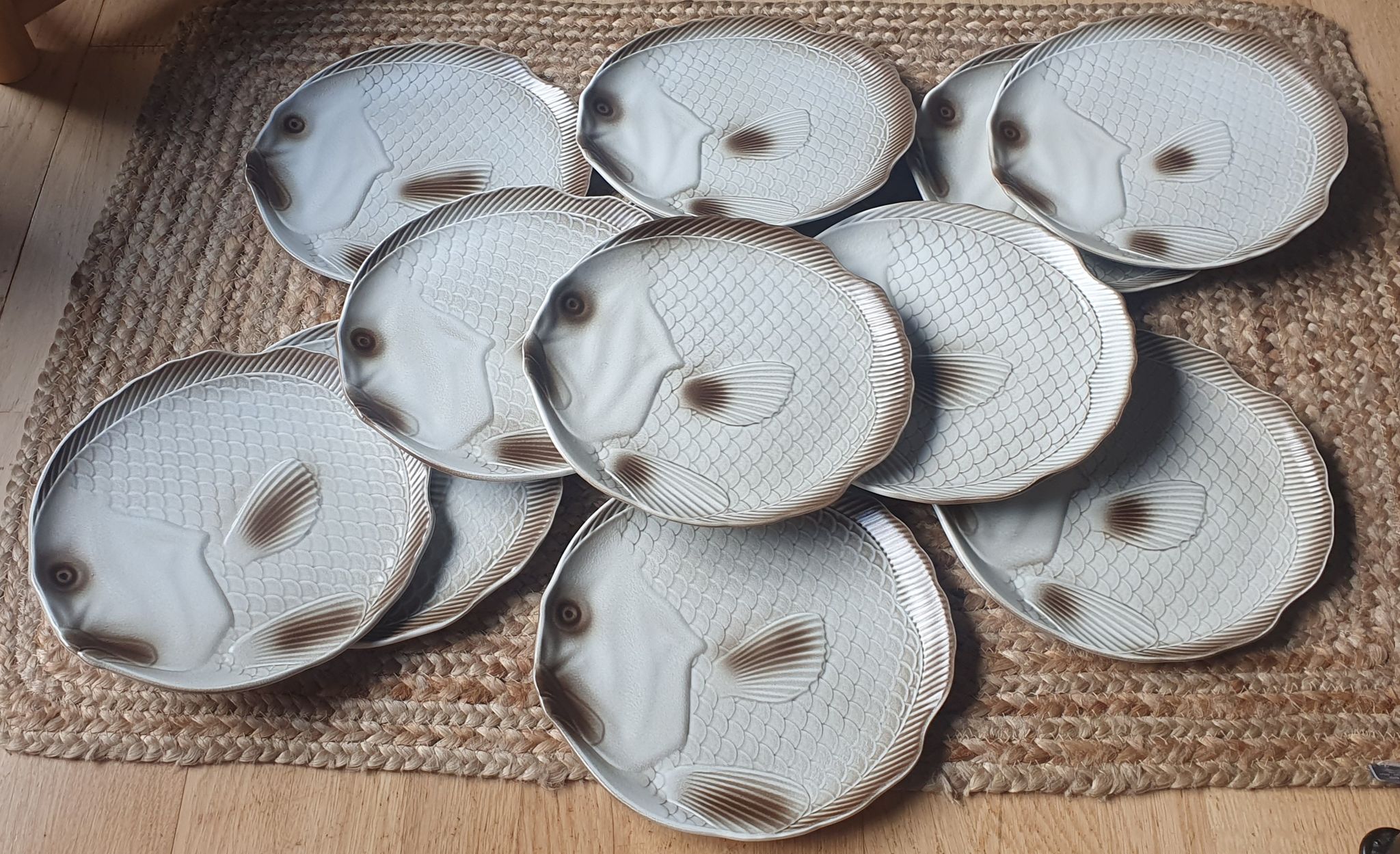 Ensemble de 12 assiettes plates et plat