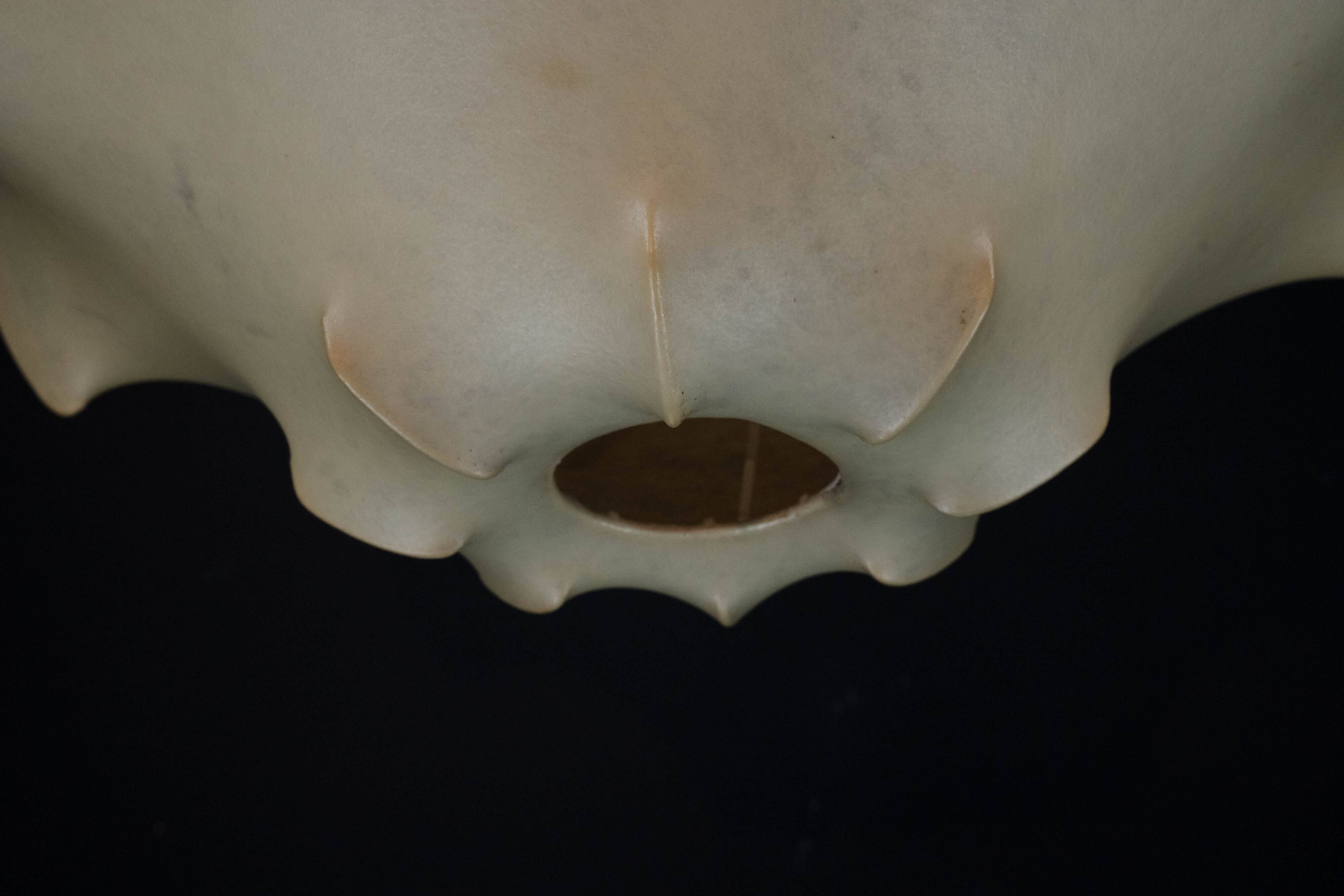 First Edition Viscontea Lamp by Achille and Pier Giacomo Castiglioni for Fl