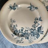 Lot of 8 plates