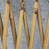 Claustra trellis vintage bamboo braces
