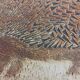 Dessous de plat Jacqueline Hubin/Capron Vallauris