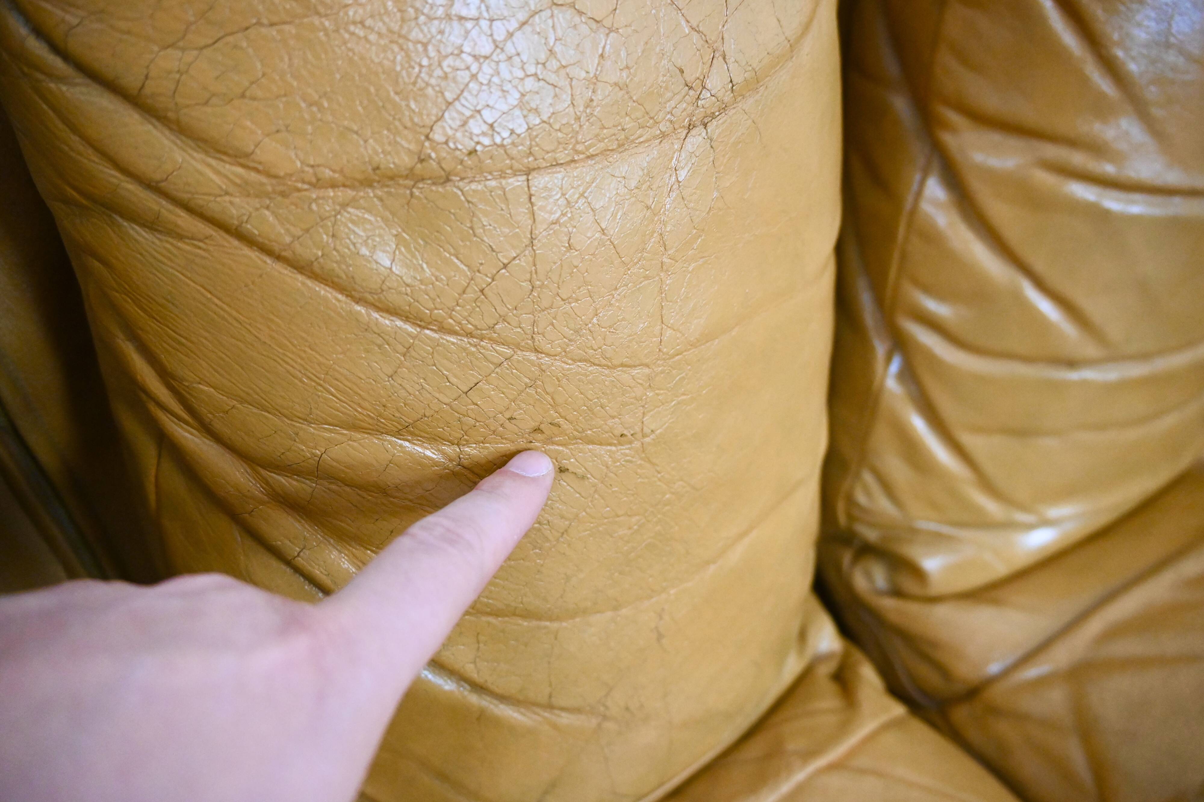 DS-600 sofa by Berger, Peduzzi, Vogt & Ulrich for De Sede, 1970s