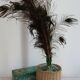 Glass and wicker demijohn