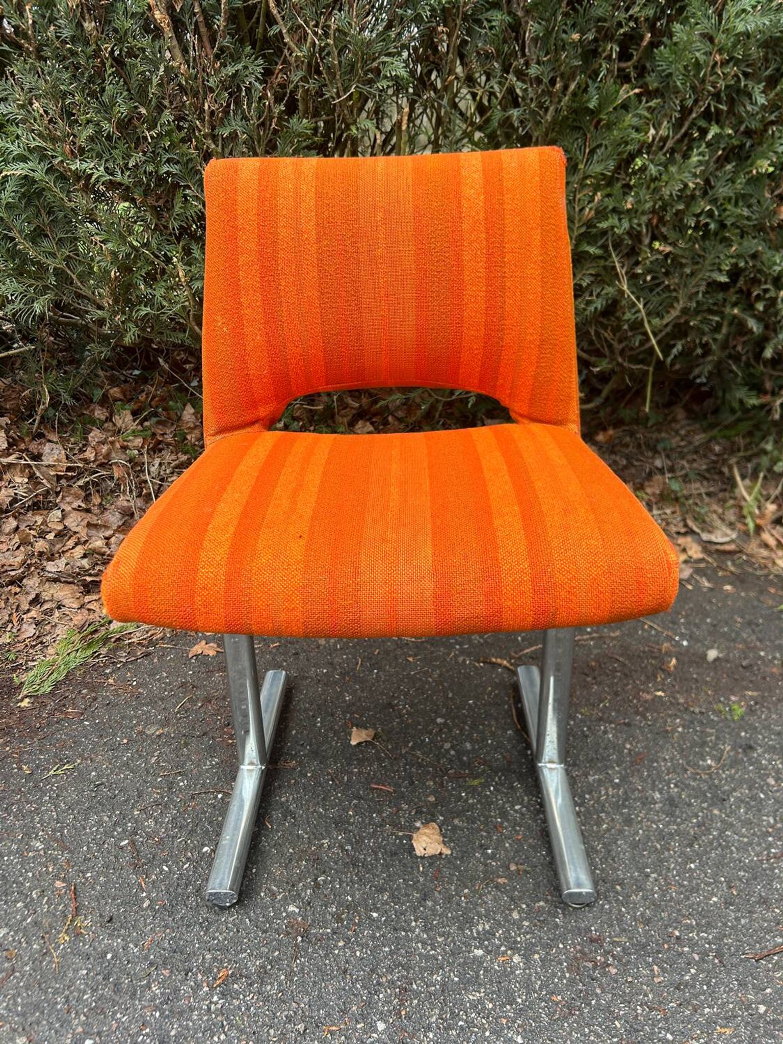 Pair of chairs by Georges Frydman