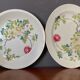 Service 39 pieces haviland limoges sin hai decor floral