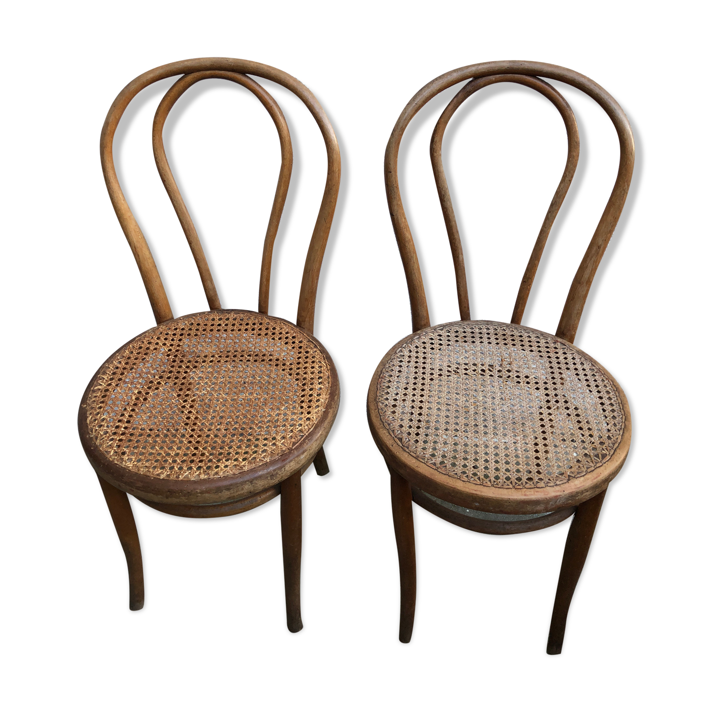 Thonet chairs
