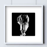 Limited edition art photo numbered dated and signed