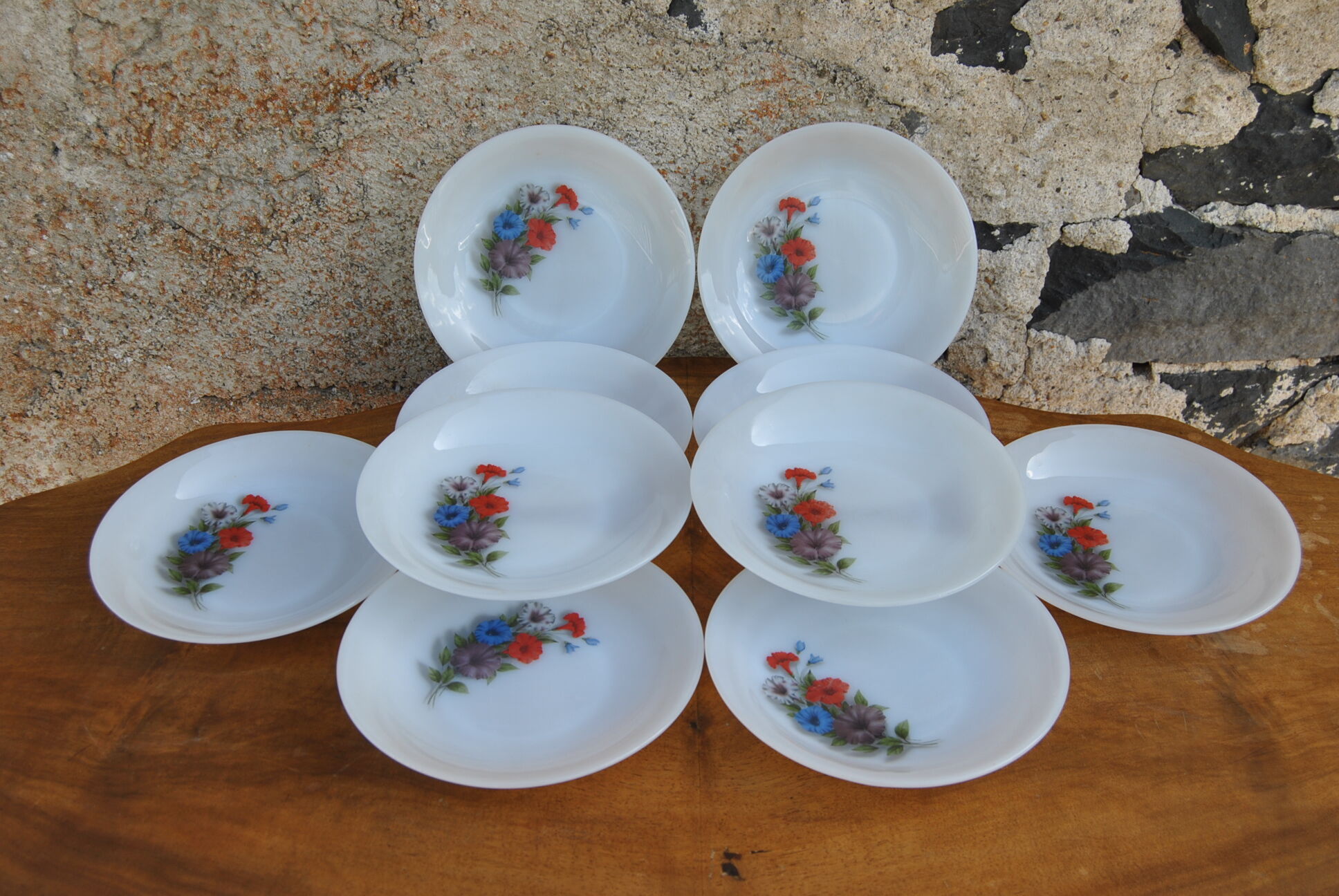 Set of 10 plates flowers of the fields - Arcopal - 70s - Vintage authentic