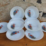 Set of 10 plates flowers of the fields - Arcopal - 70s - Vintage authentic