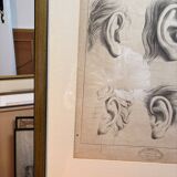 Old Print Engraving 19th Century Framed Academic Study Ear Van Bree