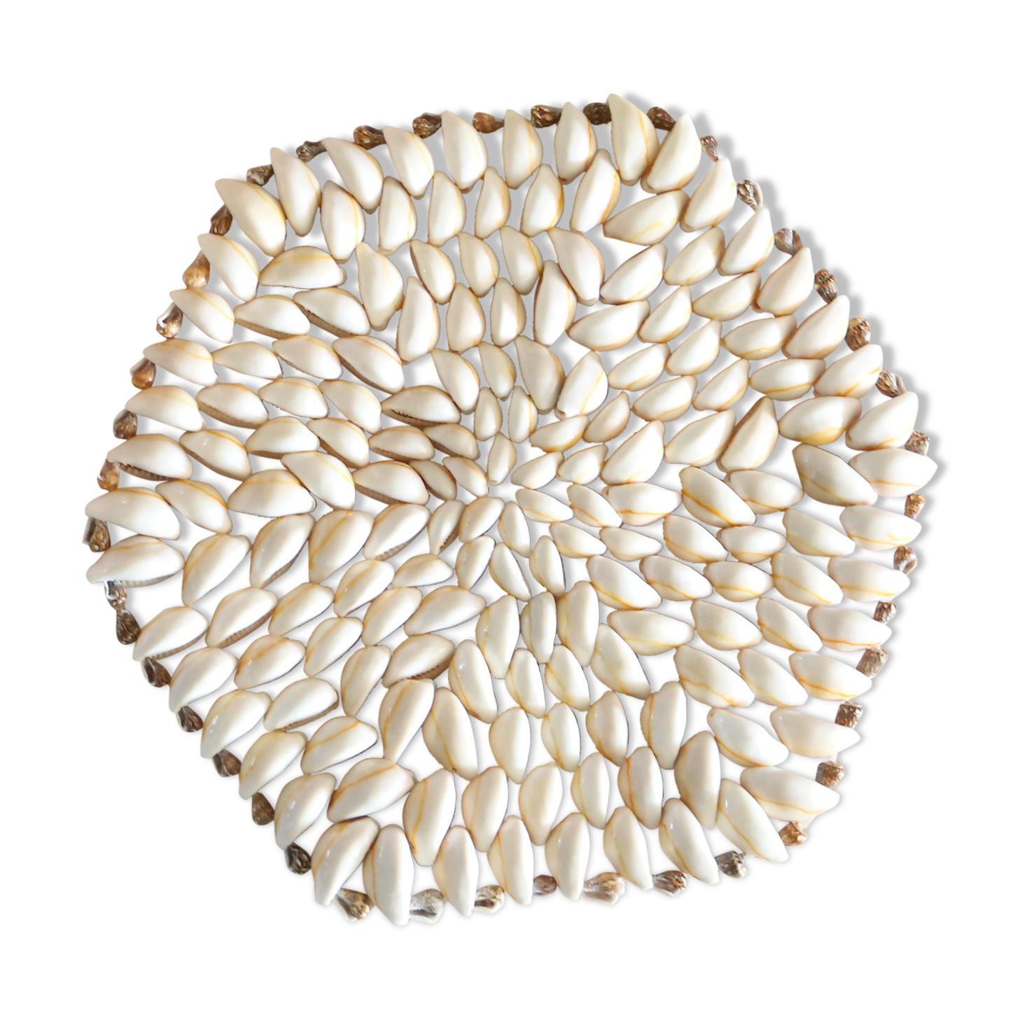 Seashell table mat